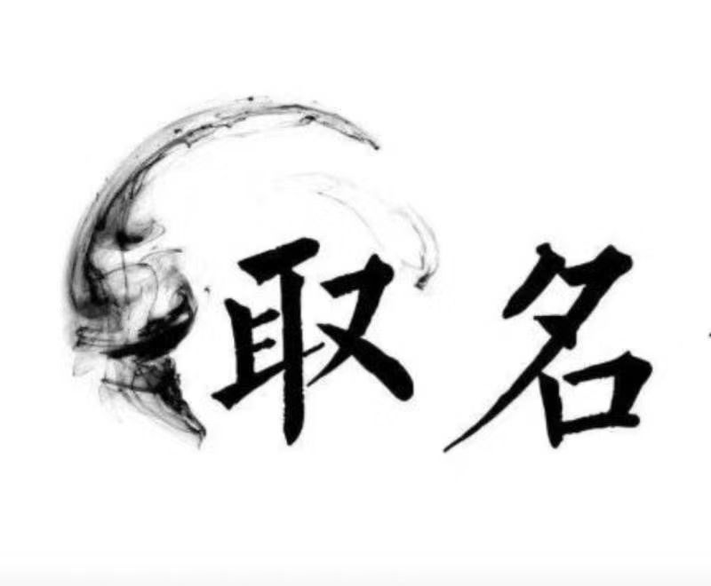  龙湖宝宝取名 大师一对一人工起名